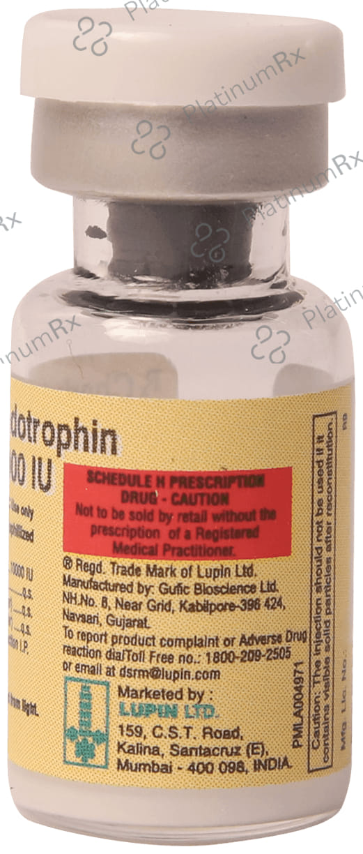 Lupi HCG 10000IU Injection 1s