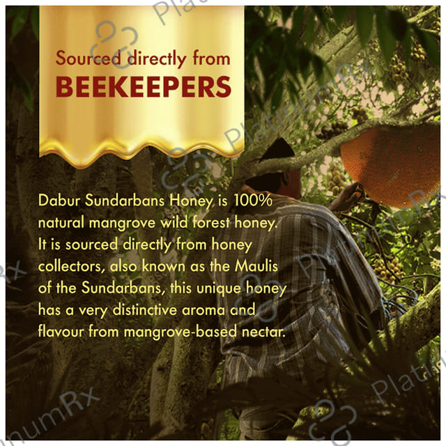 Dabur Sundarbans Forest Honey 100% Pure Honey 500gm