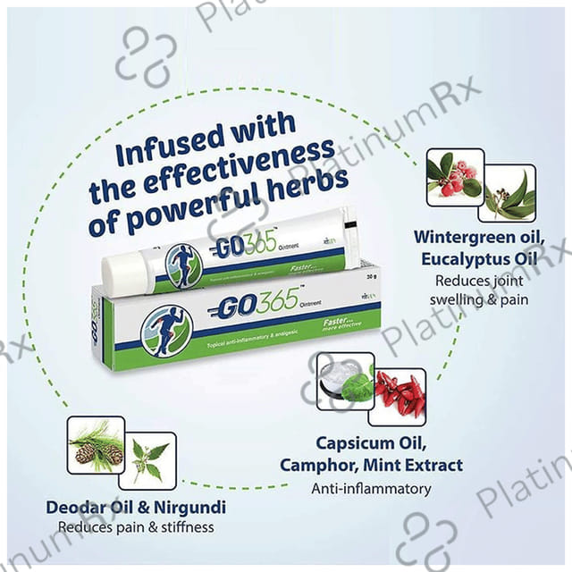 Go 365 Ayurvedic Ointment For Knee & Joint Pain
