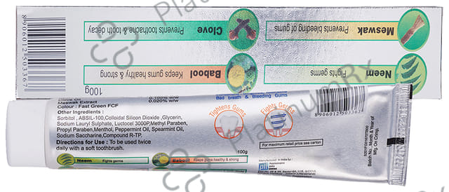 PIL Neem Plus Herbal Dental Gel (100gm Each) 2 Tubes