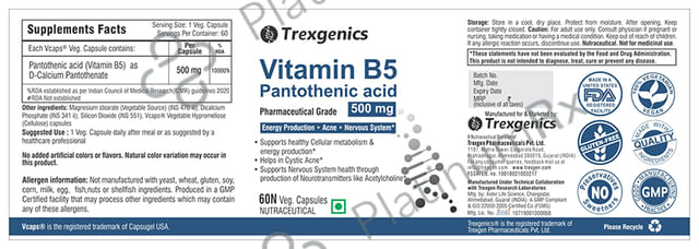 Trexgenics Vitamin B5 500mg Veg. Capsules