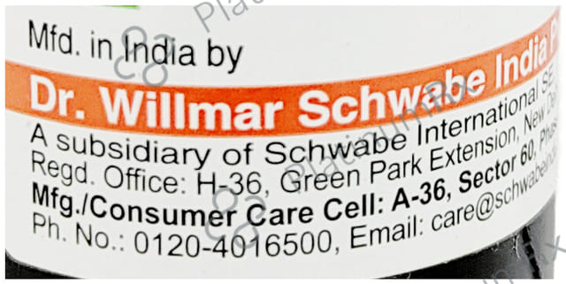 Dr Willmar Schwabe India Caladium Seguinum Dilution 30 CH