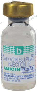 Amicin 100mg Injection 1s