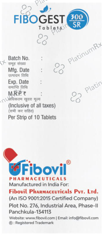 Fibogest 300mg SR Tablet 10s