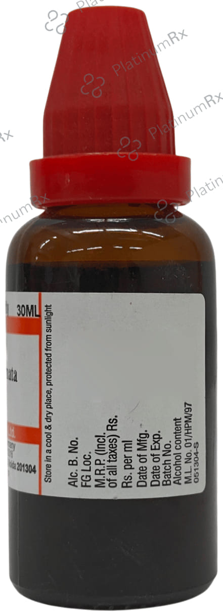 Dr Willmar Schwabe India Passiflora Incarnata Mother Tincture Q