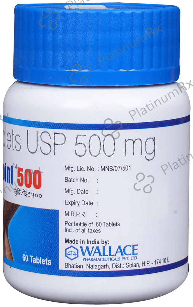 Lubrijoint 500mg Tablet 60s