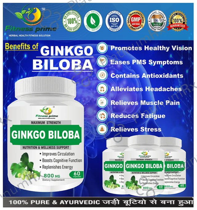 Fitness Prime Maximum Strength Ginkgo Biloba Nutrition & Wellness Support 800mg Capsule