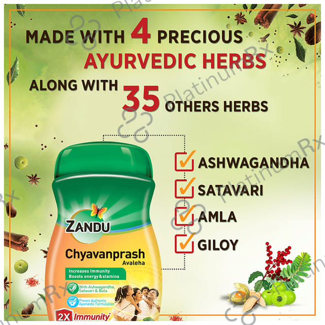 Zandu Chyavanprash Avaleha - For Immunity, Strength & Stamina 450 gm