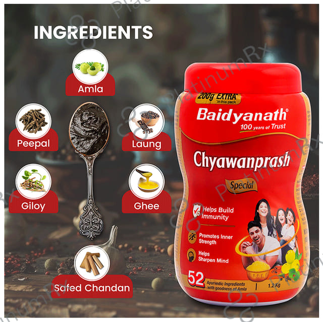 Baidyanath Noida Chyawanprash Special 1200gm