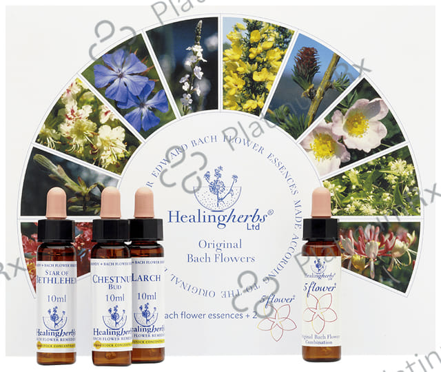 Healing Herbs Bach Flower Remedies Concentrate Stock Kit (10ml Each)