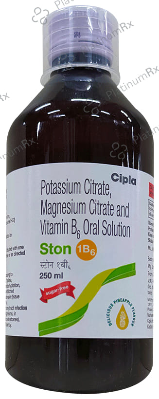 Ston 1B6 Delicious Pineapple Sugar Free Oral Solution 250ml