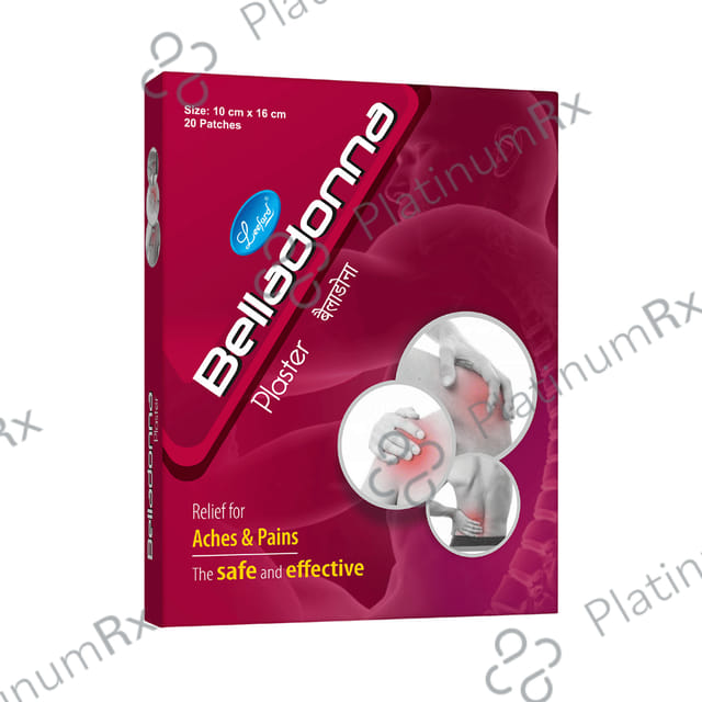 Leeford Belladonna Plaster for Aches & Pains 10cm x 16cm