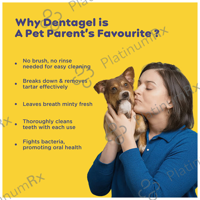 Pil's Pet Dentagel - Cat & Dog Toothpaste - Squeeze Only- No Brushing,No Rinsing