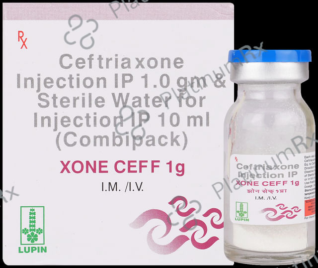 Xone Ceff 1000mg Injection