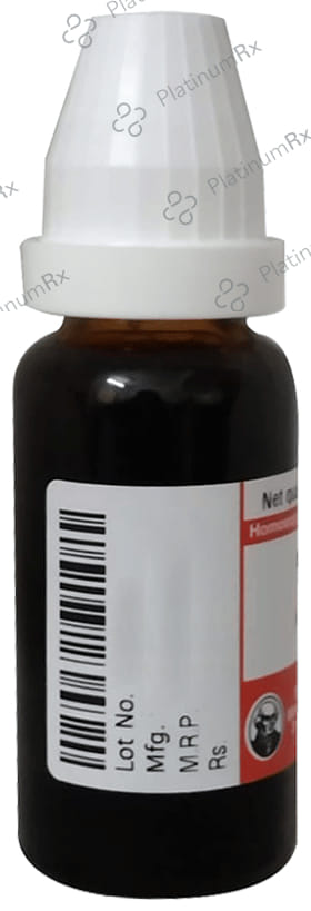 Dr Willmar Schwabe Germany Negundium Americana Mother Tincture Q