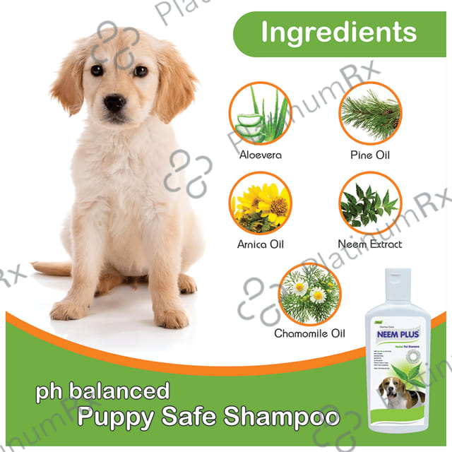 Dermacare Neem Plus Herbal Pet Shampoo