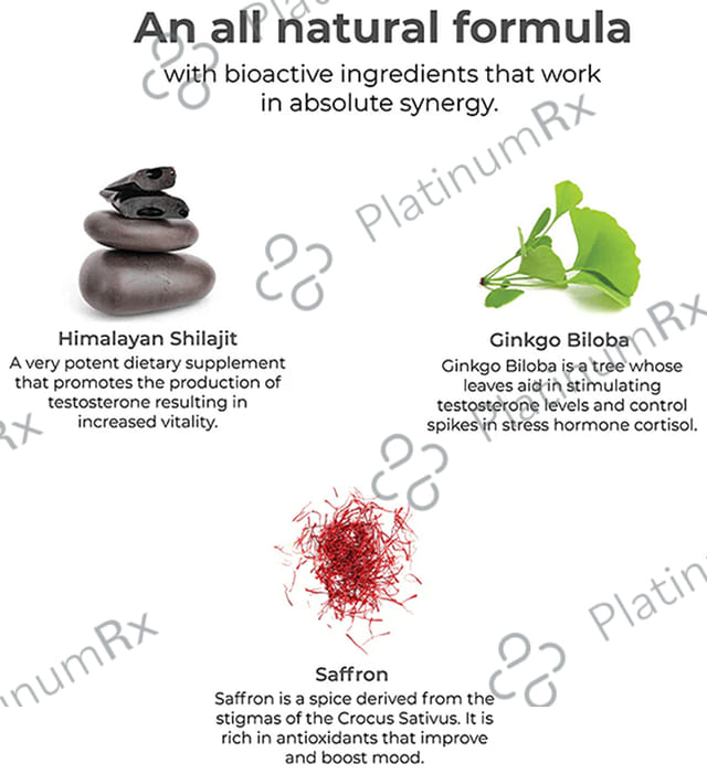Wellbeing Nutrition Melts into Testo Power with Testofen + Himalayan Shilajit - Sugar Free Oral Thin Strip - Flavour Cool Mint