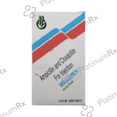Megapen 125/125mg Injection 2ml
