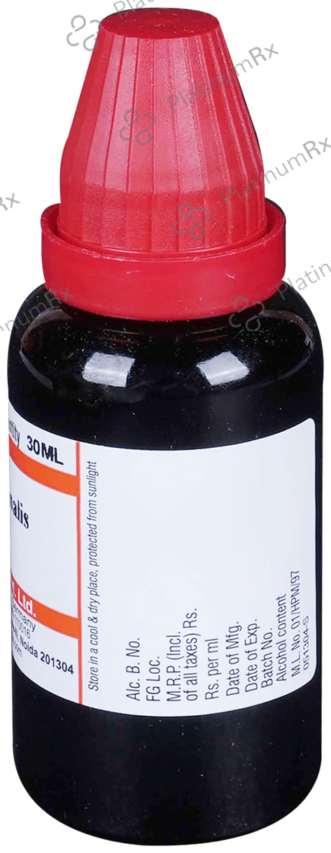 Dr Willmar Schwabe India Cinchona Officinalis Mother Tincture Q