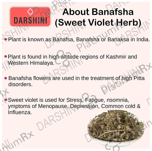 Darshini Gul Banafsha / Sweet Violet / Wild Violet / Viola Odorata Leaves