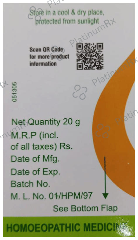 Dr Willmar Schwabe India Ginseng MT Tablet 1X