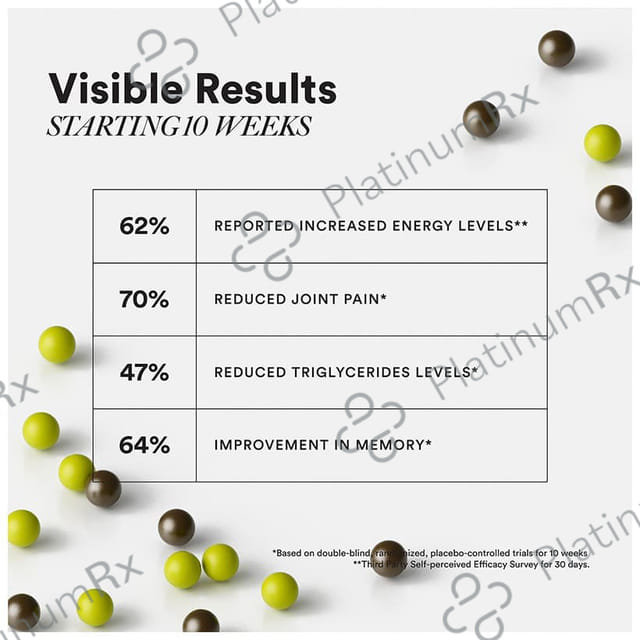 Wellbeing Nutrition Slow Multi for Him 50+ - With Ginkgo Biloba & Lutein for Energy & Performance - Capsule