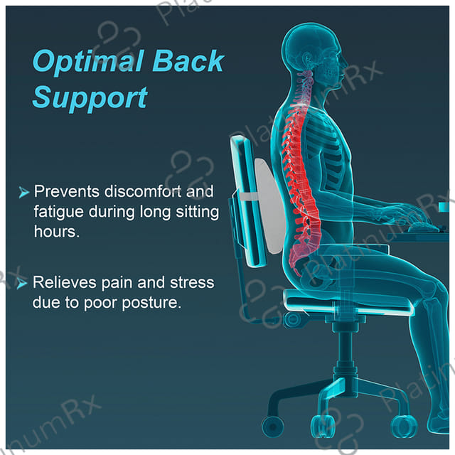 Tynor I 91 Lumbo Back Rest Urbane Universal