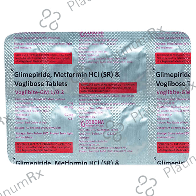 Voglibite GM1 1/500/0.2mg Tablet SR 10s