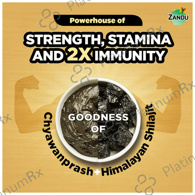 Zandu Shilajitprash 900 gm
