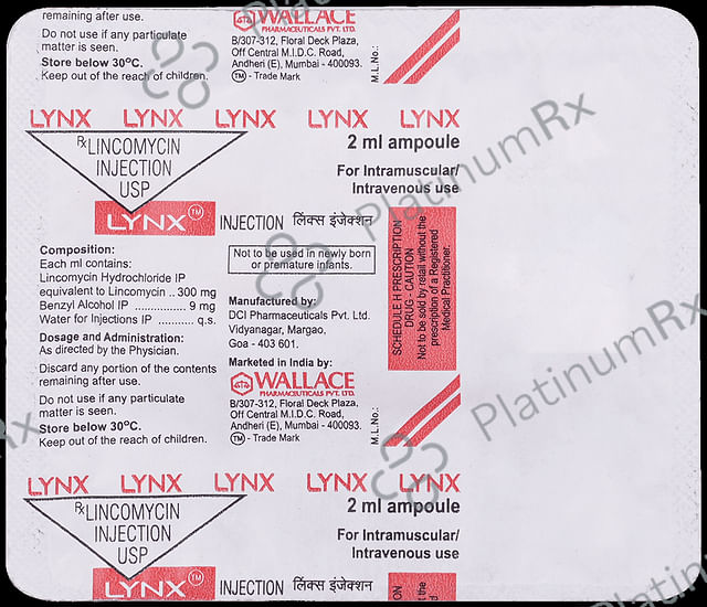 Lynx 300mg Injection 5*2ml