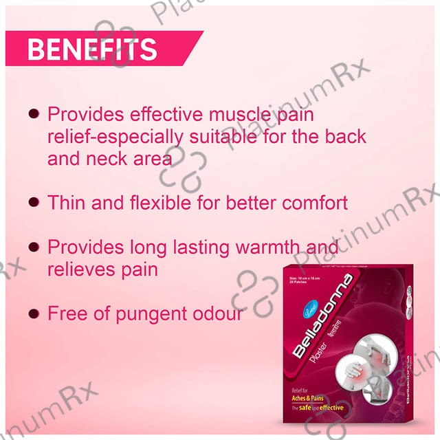 Leeford Belladonna Plaster for Aches & Pains 10cm x 16cm