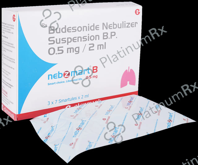 Nebzmart B 0.5mg Smartules Respules 7X2ml