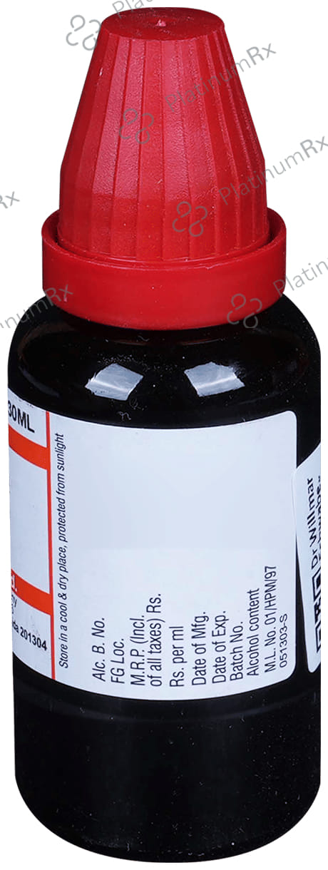 Dr Willmar Schwabe India Baptisia Tinctoria Mother Tincture Q