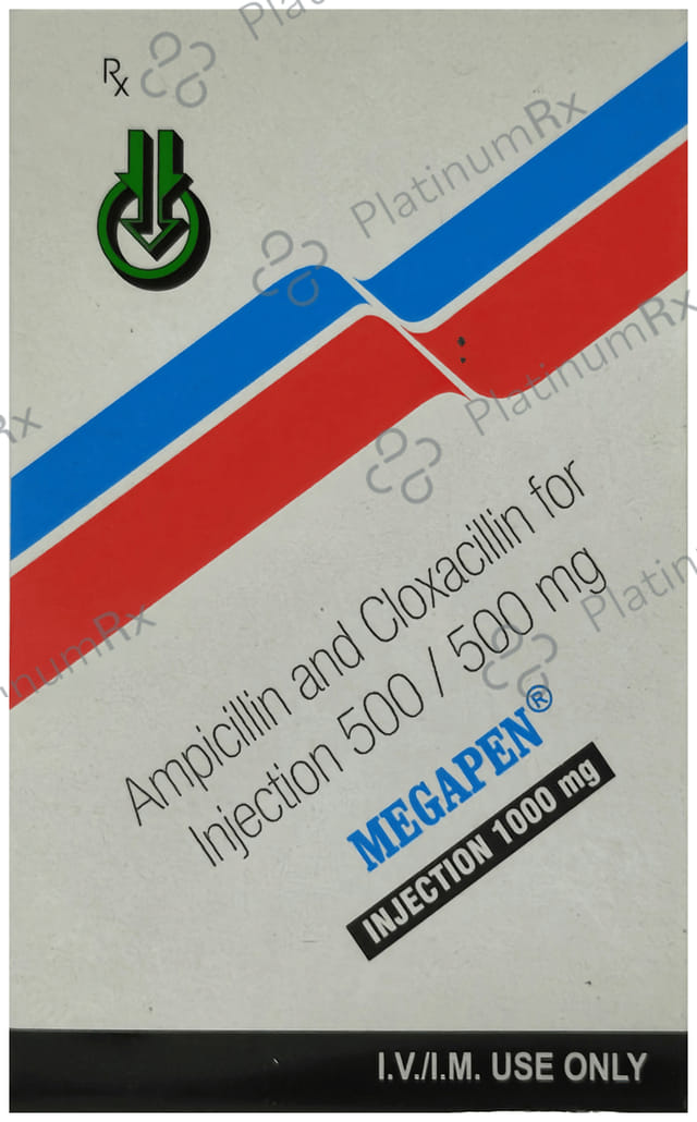 Megapen 1gm Injection 2ml