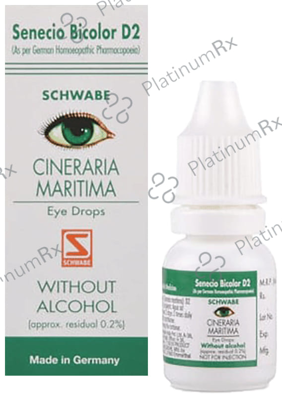 Dr Willmar Schwabe Germany Cineraria Maritima Without Alcohol Eye Drop