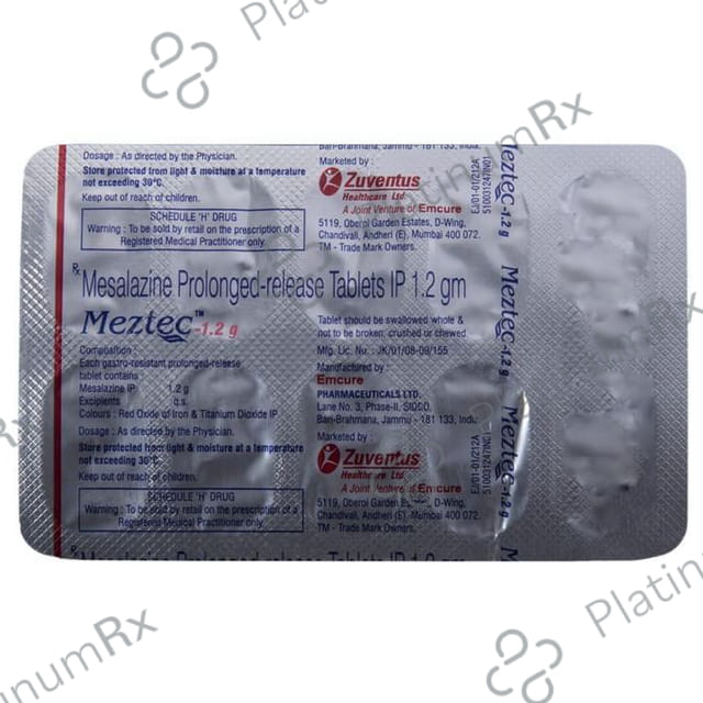 Meztec 1.2g Tablet PR 10s