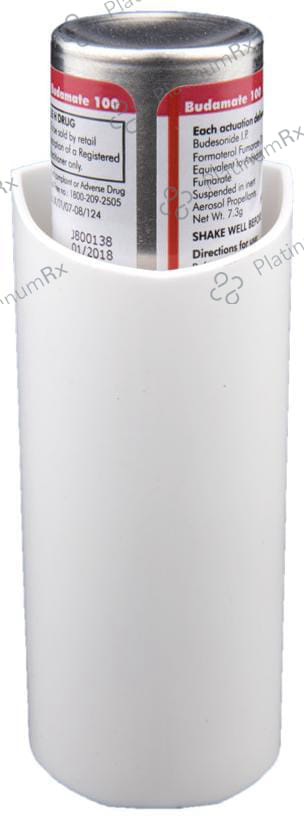 Budamate 100/6mcg Transhaler 120MDI