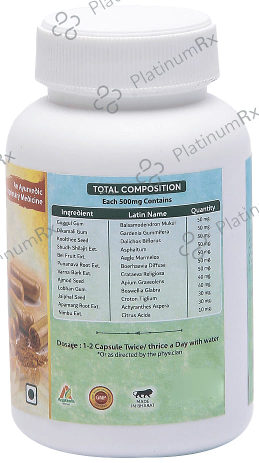 Aachman Veda A Perfect Weight Management B-Trim 500mg Capsule (60 Each) 1 Bottle