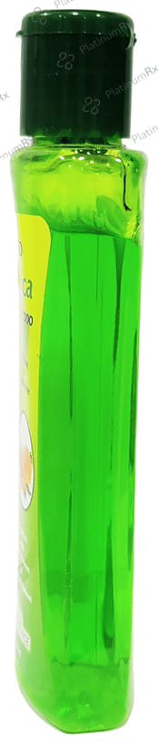LDD Bioscience Arnica Shampoo 1000 ml