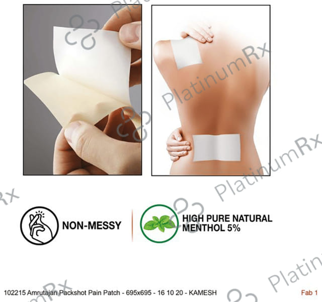 Amrutanjan Advanced Pain Relief + Stick-On Patch