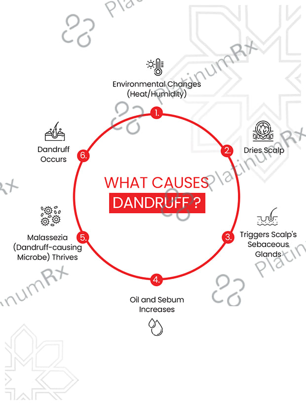 Lupizol ZS Anti dandruff Shampoo 100ml