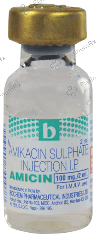 Amicin 100mg Injection 1s