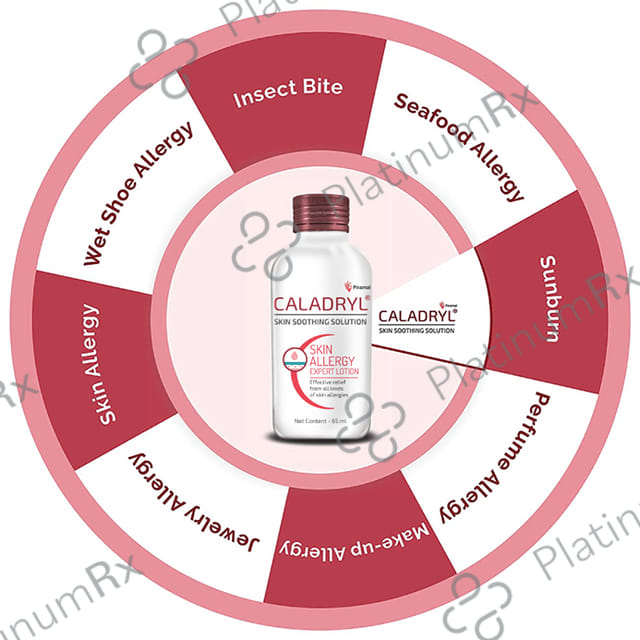 Caladryl Lotion 65ml