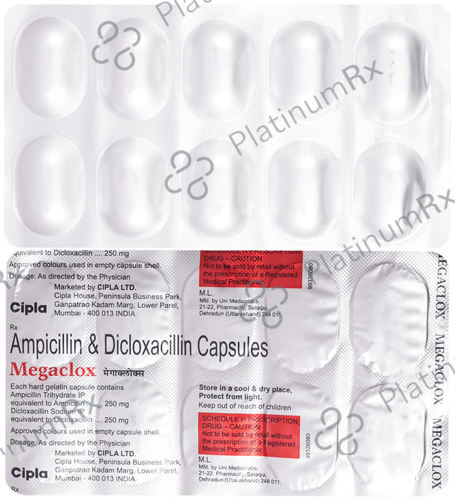 Megaclox 250/250mg Capsule 10s