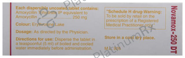 Novamox DT 250mg Tablet 15s
