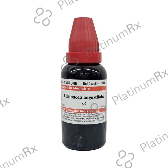 Dr Willmar Schwabe India Echinacea Angustifolia Mother Tincture Q