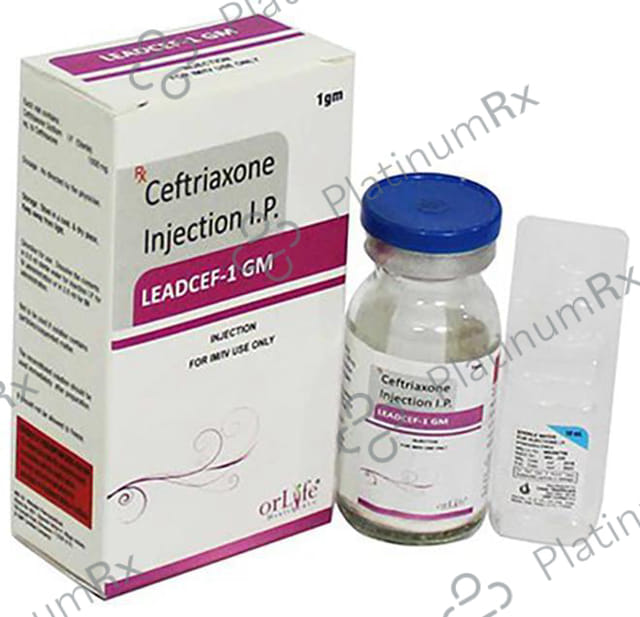 Leadcef 1gm Injection 1s
