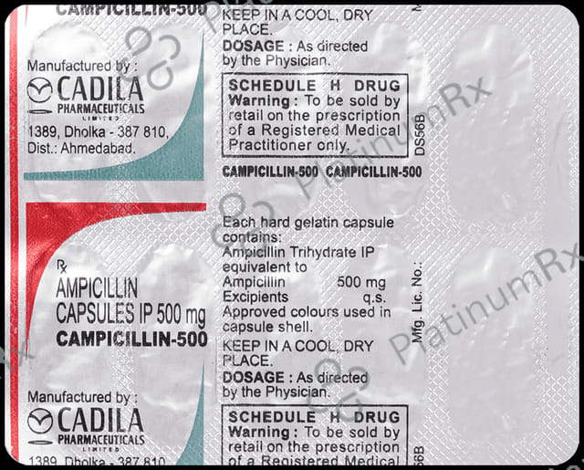 Campicillin 500 Capsule