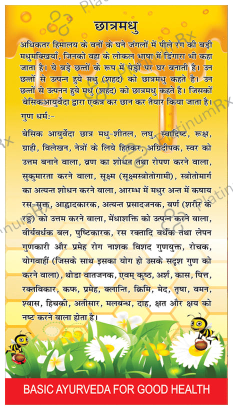 Basic Ayurveda Pure Honey (Gold Meadows)