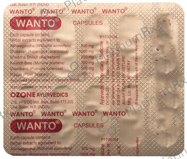 Wanto Capsule 10s